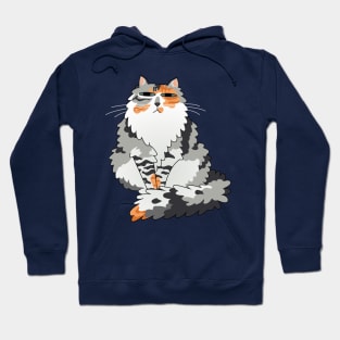 Fluffy Calico Cat Hoodie